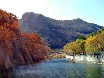 新澳天天开奖资料大全旅游团，不错的小说